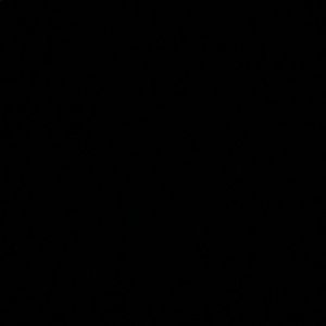 Meet your Posher, Corey